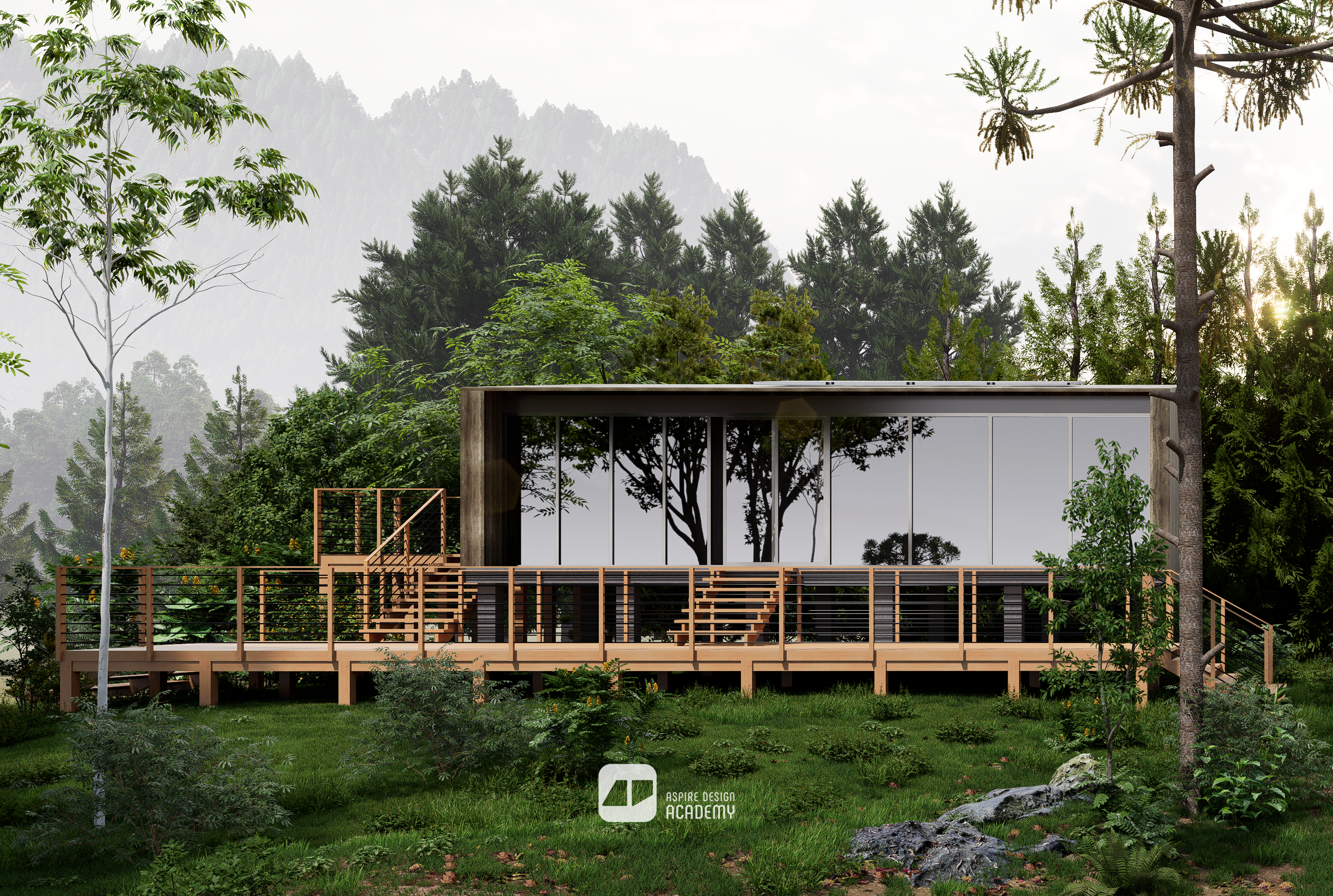 Street View Forest Scene